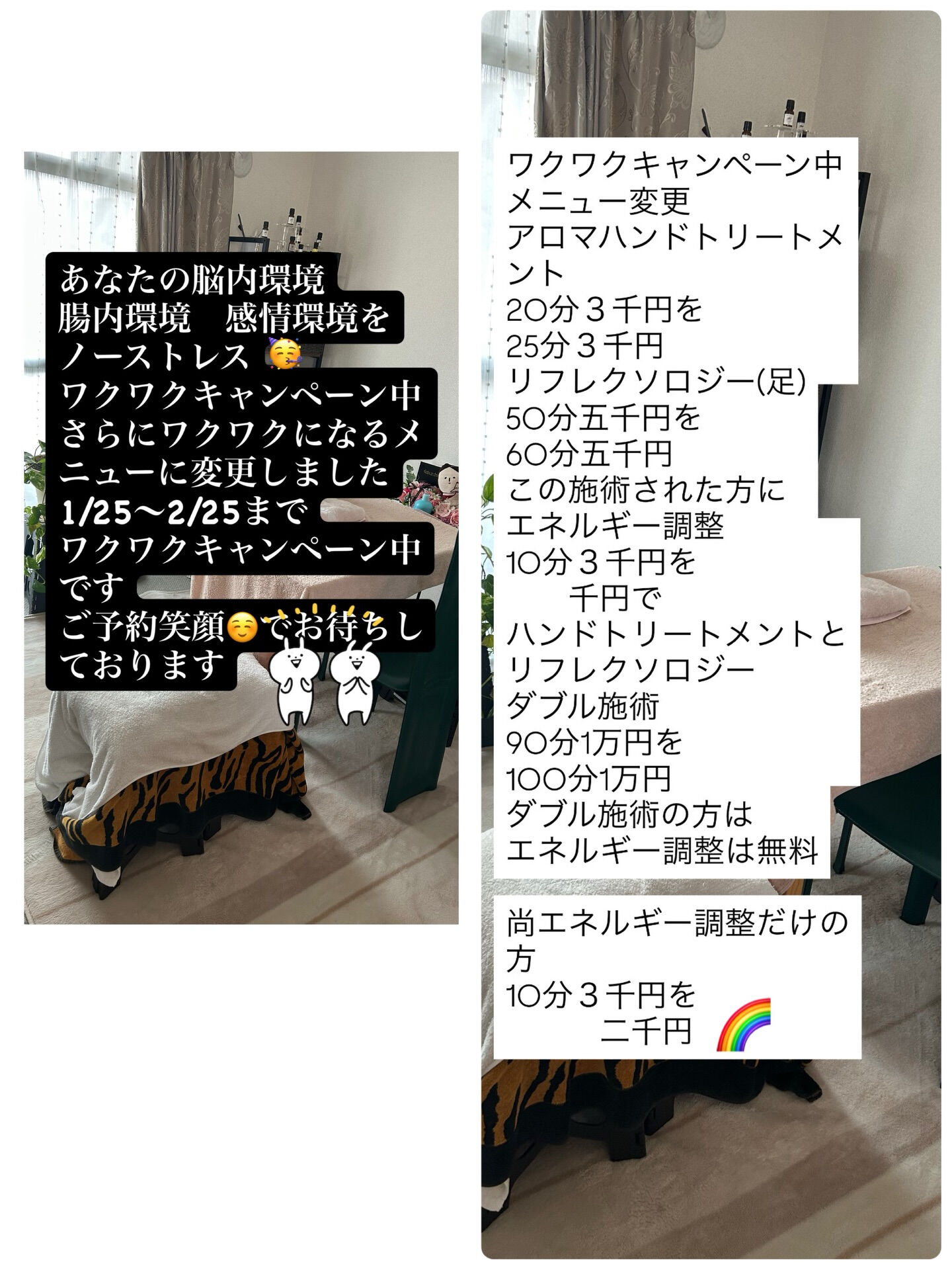 2/11〜2/15 2/19 2/22 2/23 2/25