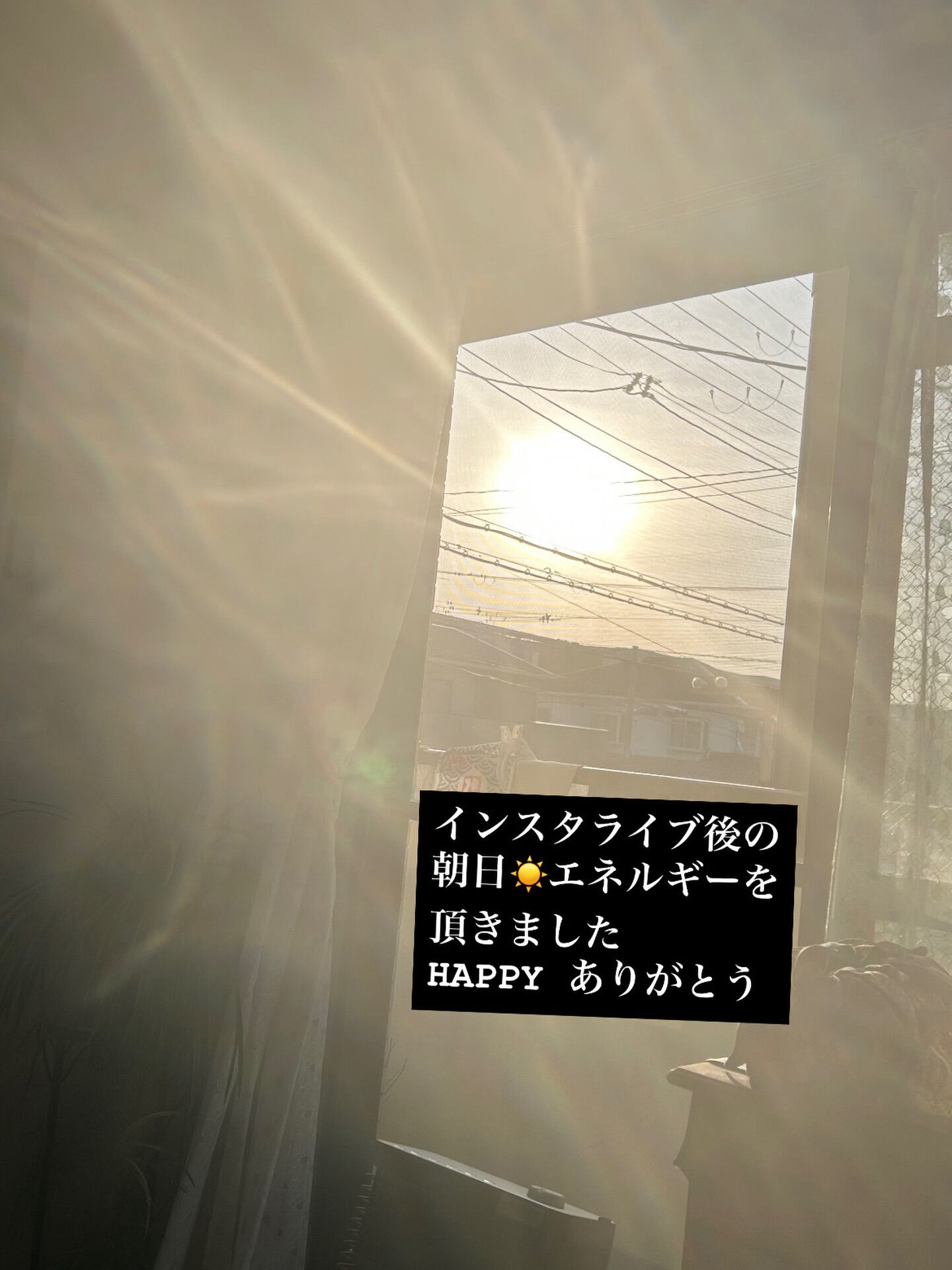 眩しいぐらい朝日☀️入って来てくれて