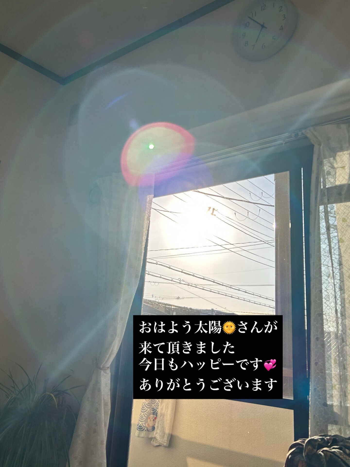今日も太陽のエネルギーに