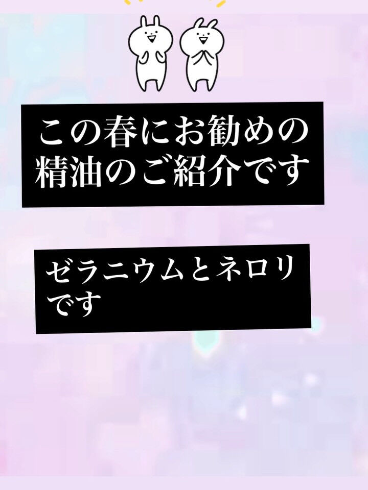 春にお勧めの精油です