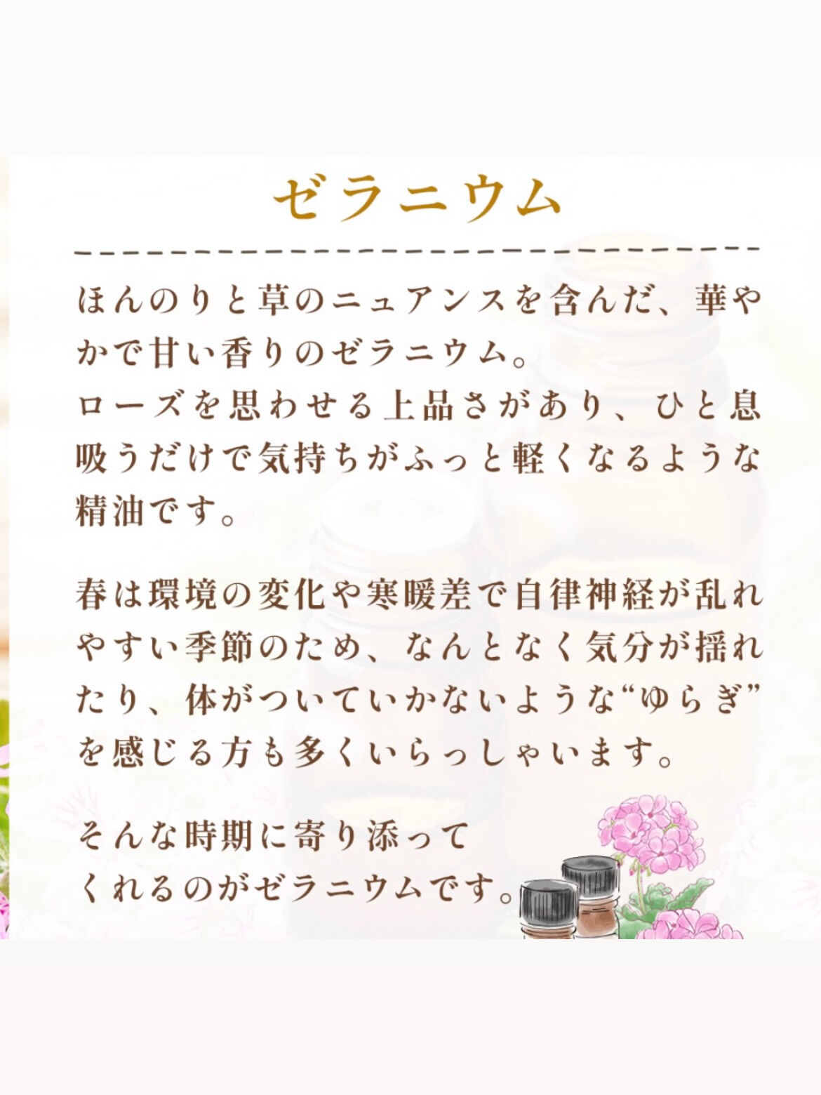 春にお勧めの精油です