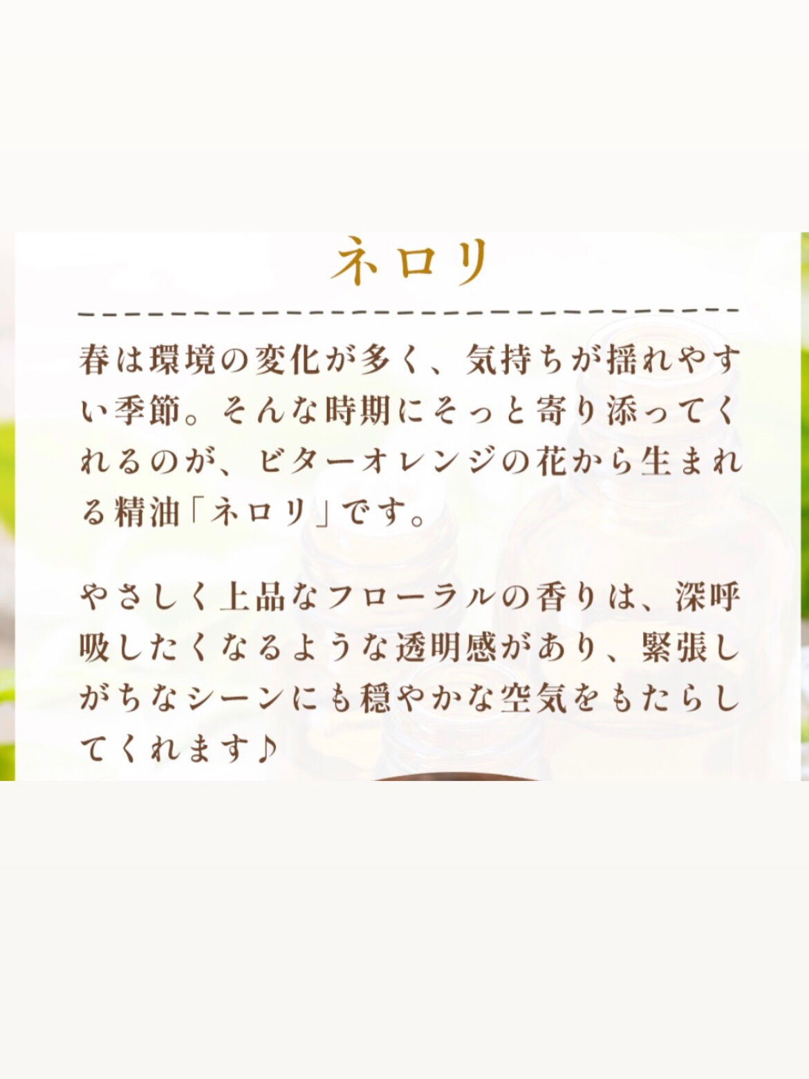 春にお勧めの精油です
